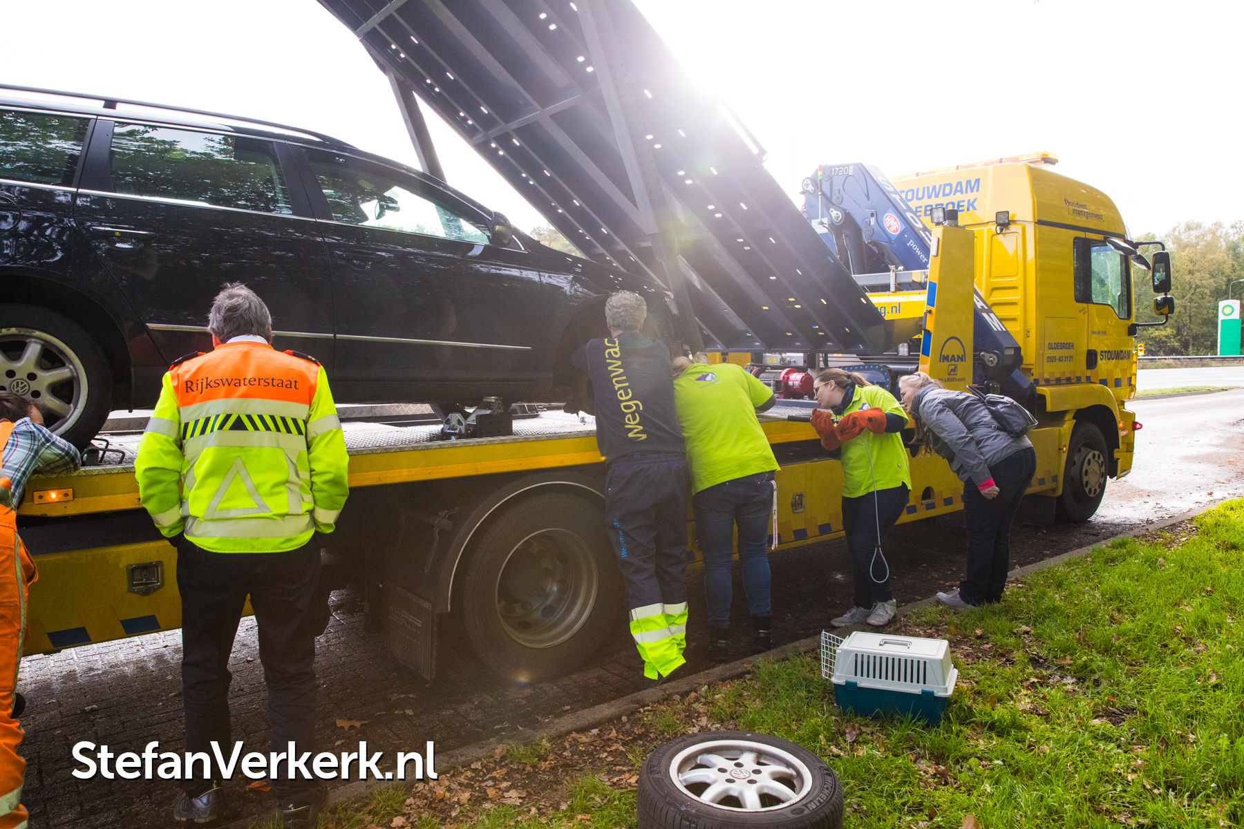 Kat overleeft rit van 60km onder auto vanaf Wolvega naar Wezep Foto's